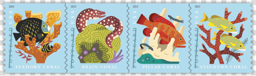 Coral Reef Postcard Stamps  HD Png DownloadTransparent PNG