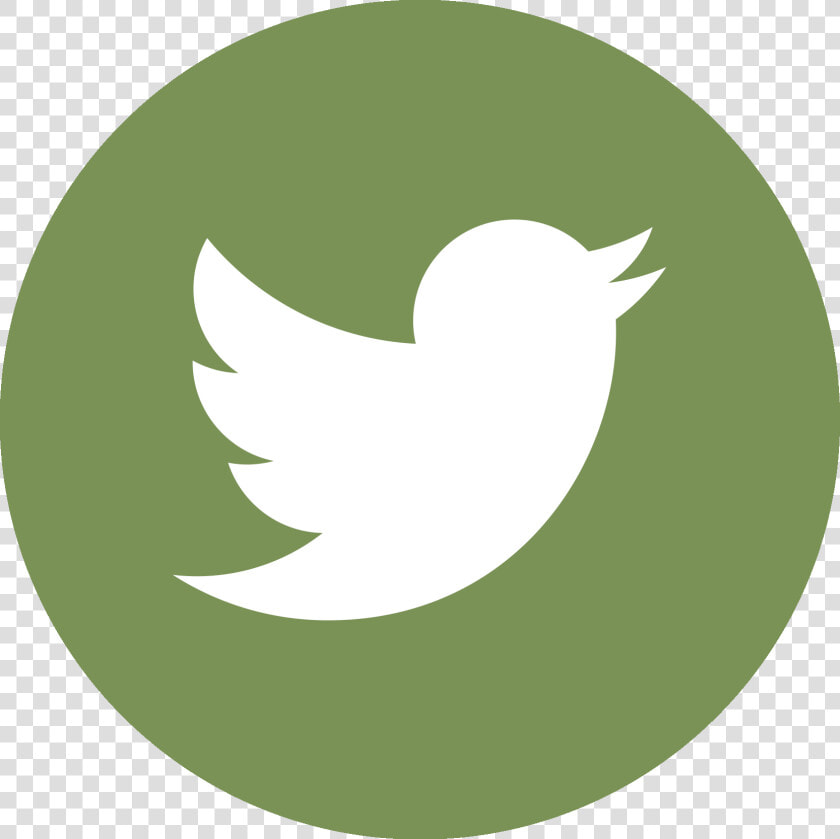 Twitter Circle Logo Vector   Png Download   Round Twitter Logo Svg  Transparent PngTransparent PNG