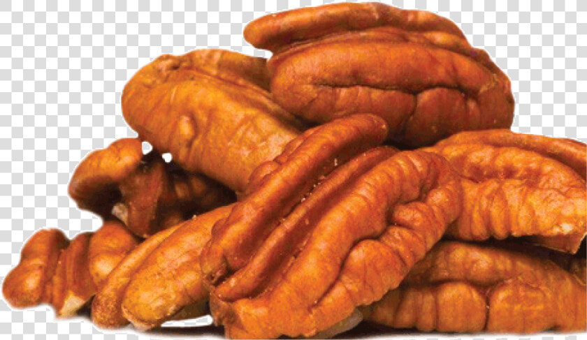 Pecans Png  Transparent PngTransparent PNG