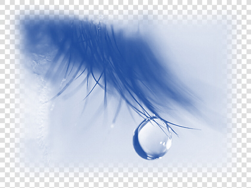 Tear Drop On Eye Lash   Love Love Pain Alone  HD Png DownloadTransparent PNG