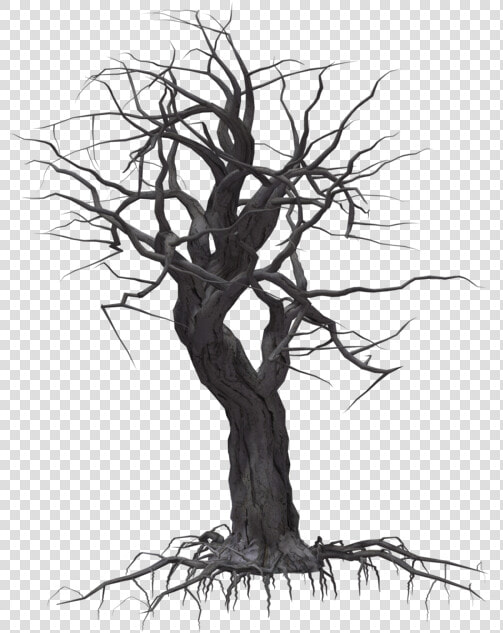 Creepy Tree 05 By Wolverine041269 On Clipart Library   Creepy Tree Transparent Background  HD Png DownloadTransparent PNG