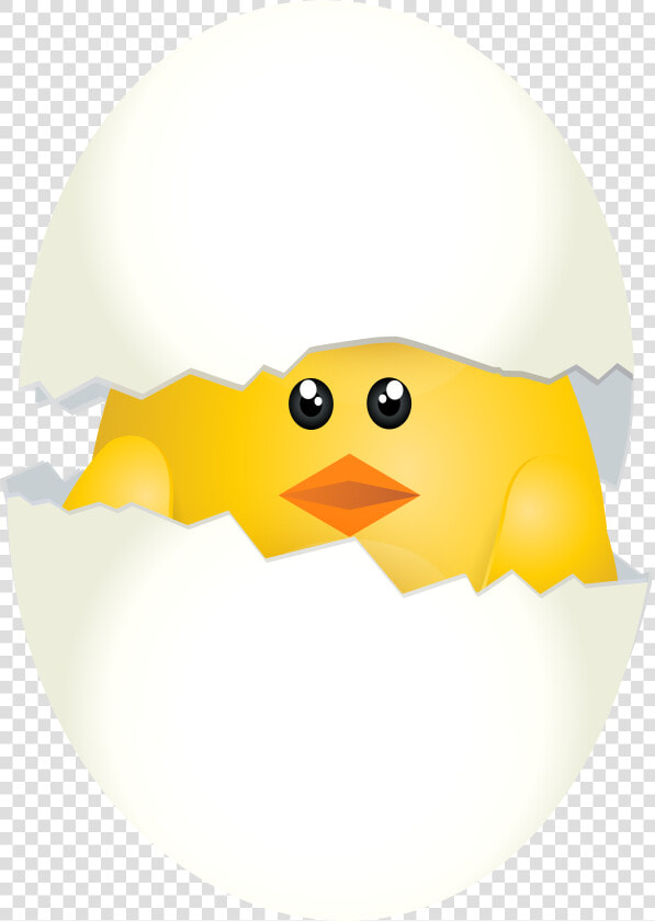 Easter Chicken Clip Art   Free Easter Chicken Png  Transparent PngTransparent PNG