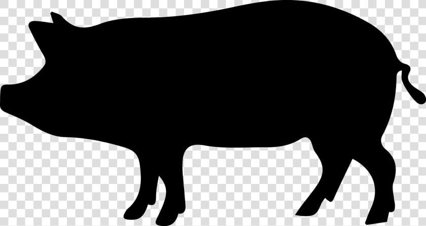 Wild Boar Clip Art  HD Png DownloadTransparent PNG