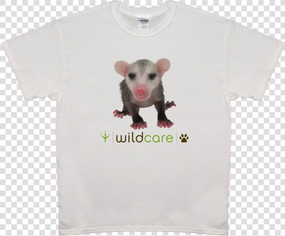 Baby Opossum T shirt  25 Donation   Rat  HD Png DownloadTransparent PNG