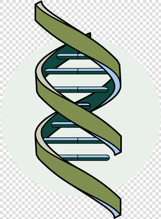 Living Organisms Biology Png  Transparent PngTransparent PNG