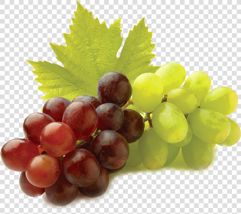 Grape Seed Extracts Gif  HD Png DownloadTransparent PNG