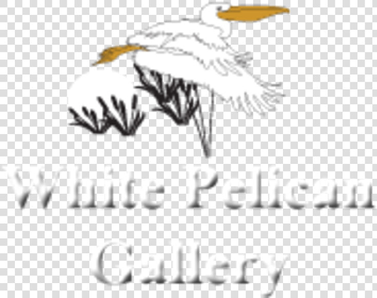 White Pelican Gallery Logo   Seabird  HD Png DownloadTransparent PNG