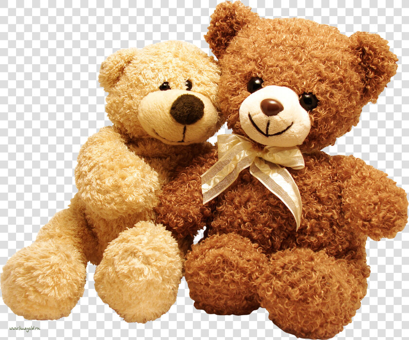 Teddy Bear Free Png Image   Teddy Bear Doll Png  Transparent PngTransparent PNG