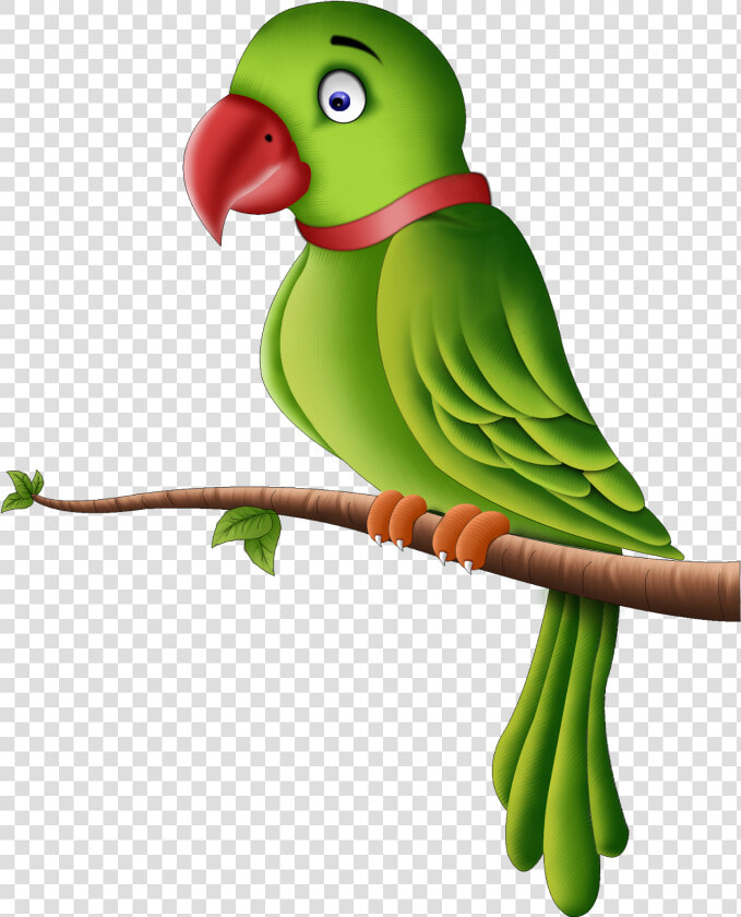 Little Known Facts About Parrots Png All   Parrot Png  Transparent PngTransparent PNG