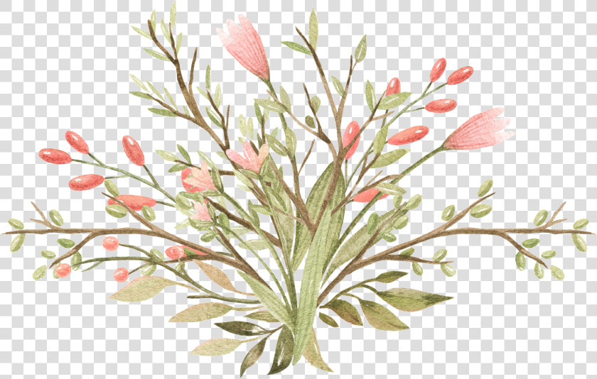 Mexican Flowers Png   Grevillea   39 superb  39   Transparent PngTransparent PNG