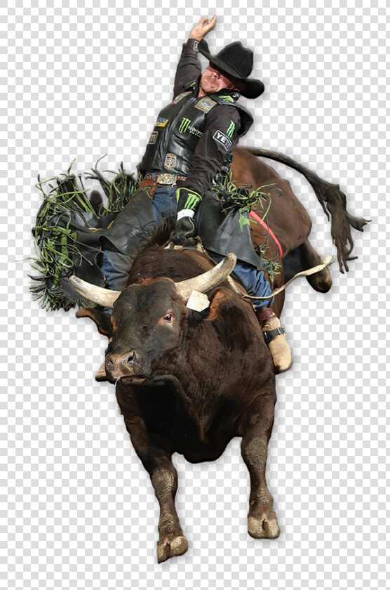 Drawing Cowboys Bull Riding   Bull Riding Png  Transparent PngTransparent PNG