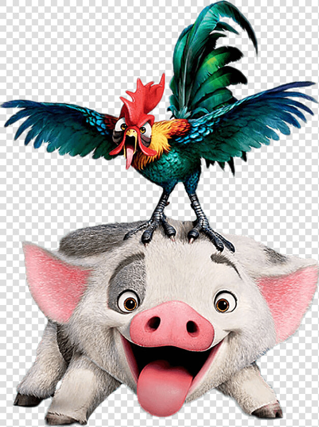 Pua Moana Png   Moana Hei Hei Original  Transparent PngTransparent PNG