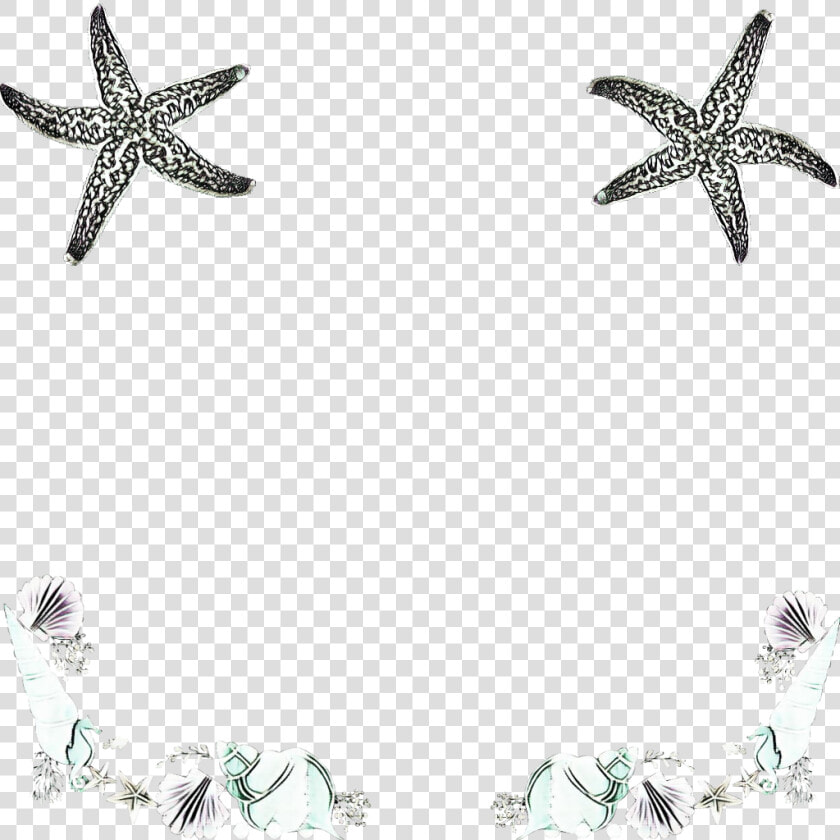  seashell  seashells  cones  starfish  aquatic  ocean  HD Png DownloadTransparent PNG