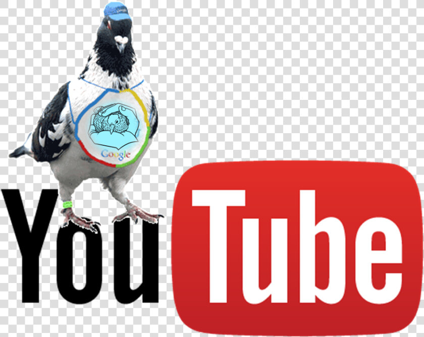 Youtube Live Stream Logo Png  Transparent PngTransparent PNG