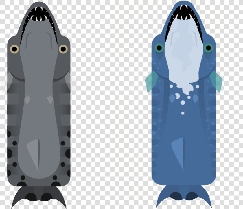 Buoyancy Compensator  HD Png DownloadTransparent PNG