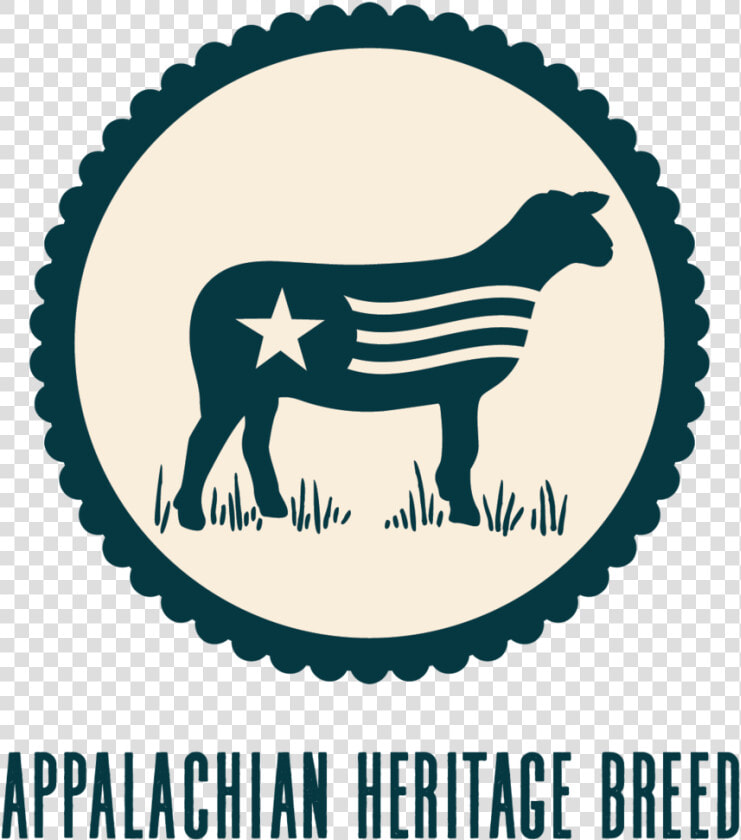 Freedom Run Farm Appalachian Heritage Breed   Circus  HD Png DownloadTransparent PNG