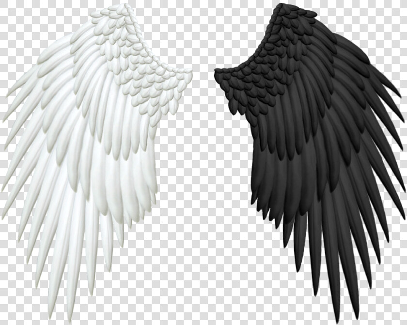 More Like Good And Evil Angel Wings Png By Thy darkest   Birds Picsart Png Hd  Transparent PngTransparent PNG