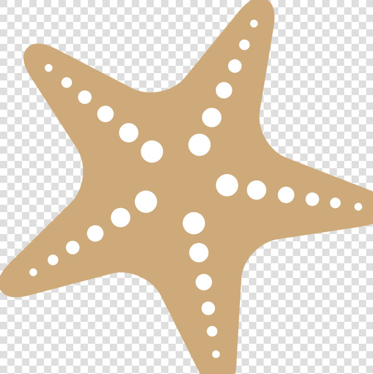 Starfish Png Free Download   Transparent Starfish Png  Png DownloadTransparent PNG