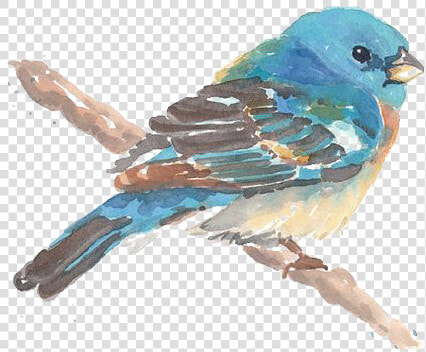 Drawing Birds Blue Bird   Birds Painting Watercolor Png  Transparent PngTransparent PNG