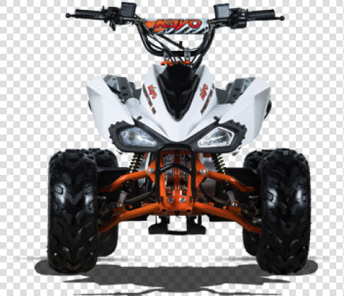 All Terrain Vehicle Predator Motorcycle Car Four Stroke   Quad Lem 110 2011  HD Png DownloadTransparent PNG