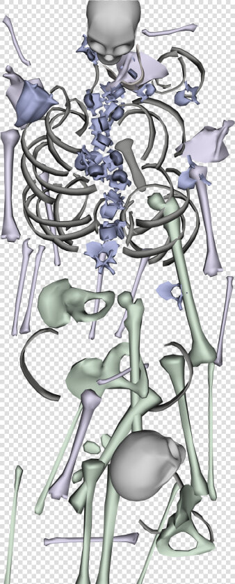 Bone Pile Top Down View Rpg  Bones  Pretend Play   Cartoon  HD Png DownloadTransparent PNG