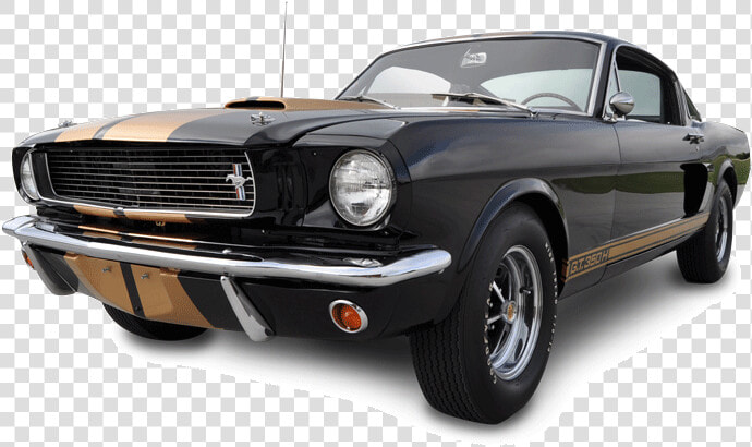 Mustang Shelby Png  Transparent PngTransparent PNG