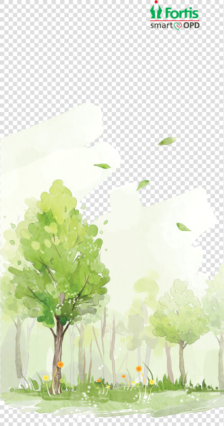 Fortis Malar Hospital   Maidenhair Tree  HD Png DownloadTransparent PNG