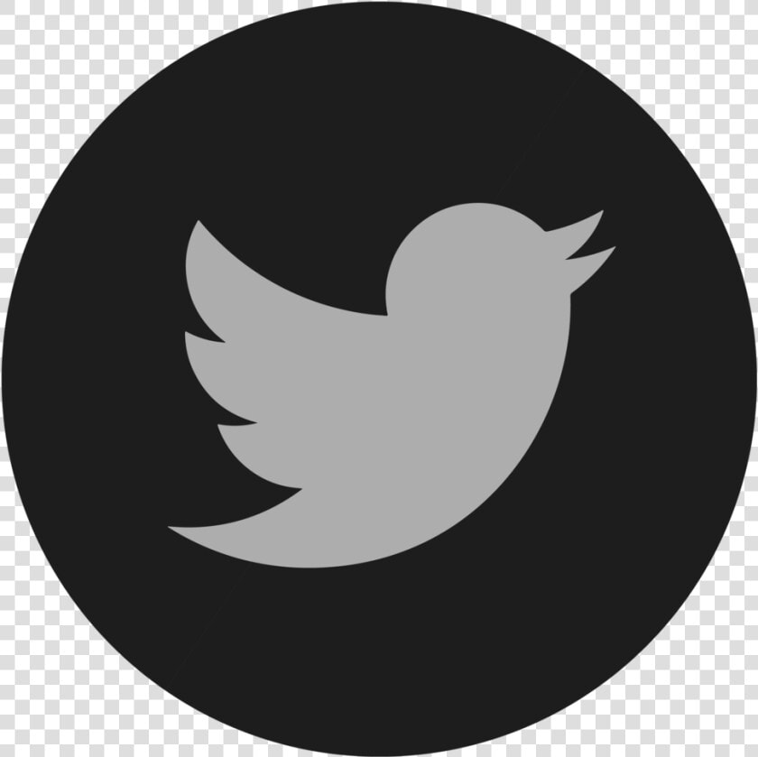 Twitter Twitter Logo Button Png    Twitter Logo  Transparent PngTransparent PNG