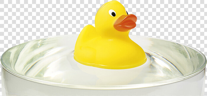 Rubber Ducky Png  Transparent PngTransparent PNG