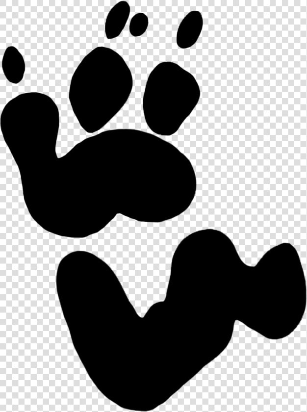 Koala Paw Prints Clipart   Koala Bear Koala Paw Print  HD Png DownloadTransparent PNG