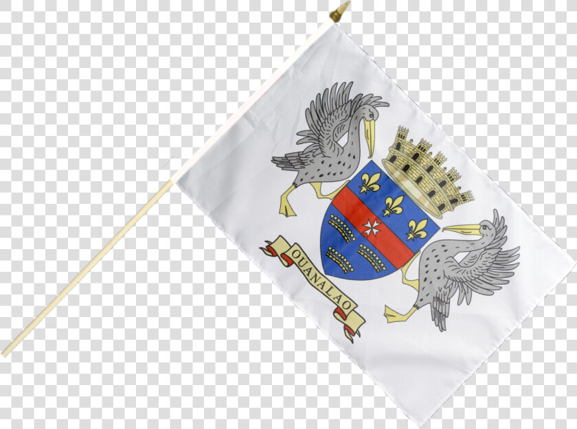 France Saint Barthélemy Hand Waving Flag   Saint Barthélemy  HD Png DownloadTransparent PNG