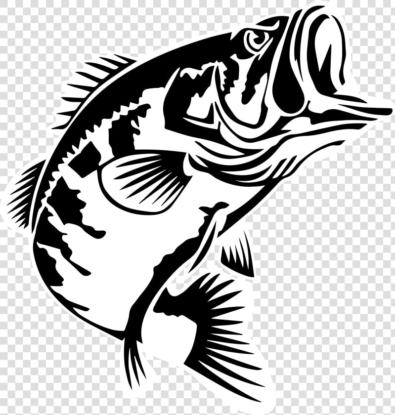 Bass Fishing Largemouth Bass 2016 Bassmaster Classic   Largemouth Bass Bass Fish Silhouette  HD Png DownloadTransparent PNG