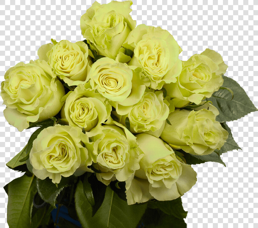 Dozen Green Roses Cheap Fresh Flowers   Floribunda  HD Png DownloadTransparent PNG