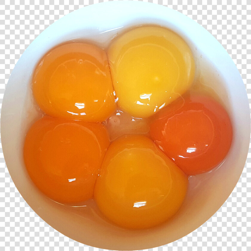 Egg Yolks Png  Transparent PngTransparent PNG