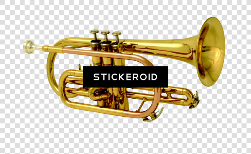 Download Instrument Cornet Full   Brass Band Instruments Png  Transparent PngTransparent PNG