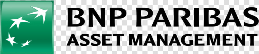 Bnp Comision Custodia   Bnp Asset Management Logo  HD Png DownloadTransparent PNG