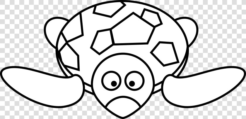 Cartoon Turtle Black White   Cartoon Pictures Black And White  HD Png DownloadTransparent PNG