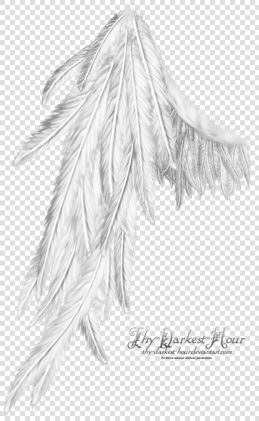 Wing White   Png Download   Wing White  Transparent PngTransparent PNG