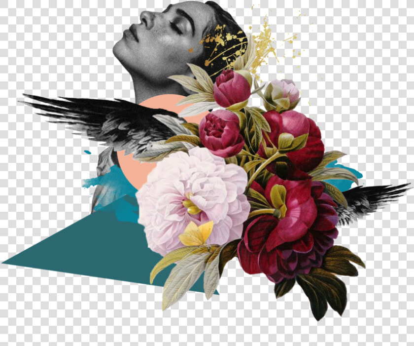 Raven Collage   Redoute Flower  HD Png DownloadTransparent PNG