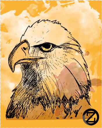 Águila   Hawk  HD Png DownloadTransparent PNG