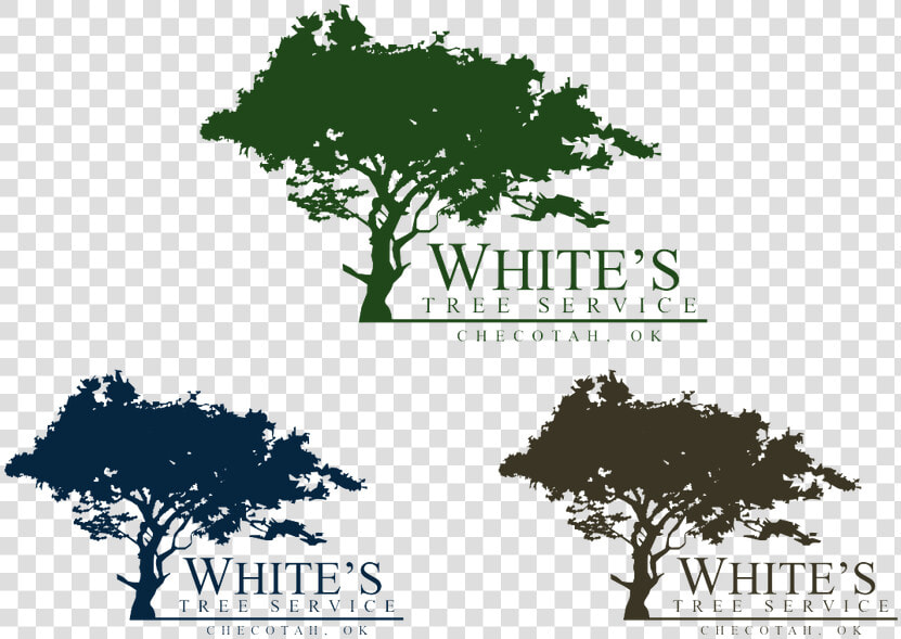 Logo For White S Tree Service Pinterest Trees Logos   Viteos  HD Png DownloadTransparent PNG