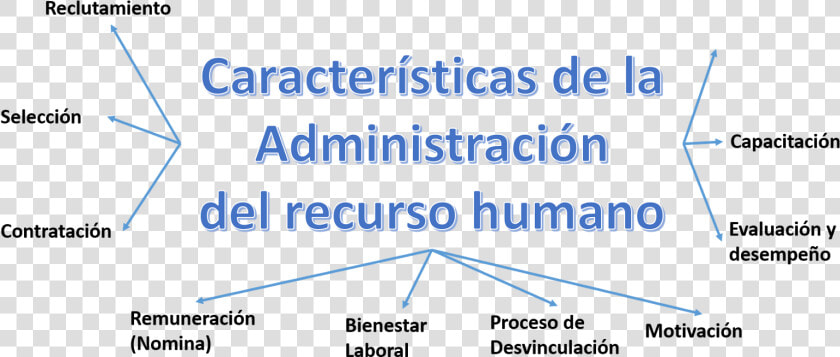 Administracion Del Recurso Humano  HD Png DownloadTransparent PNG