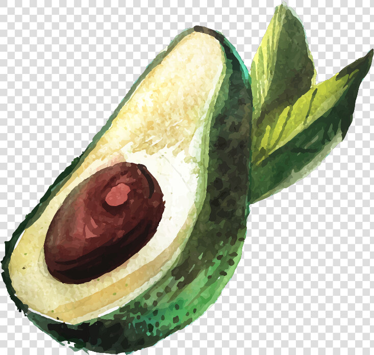 Aguacate Png Dibujo   Png Download   Avocado Drawing  Transparent PngTransparent PNG