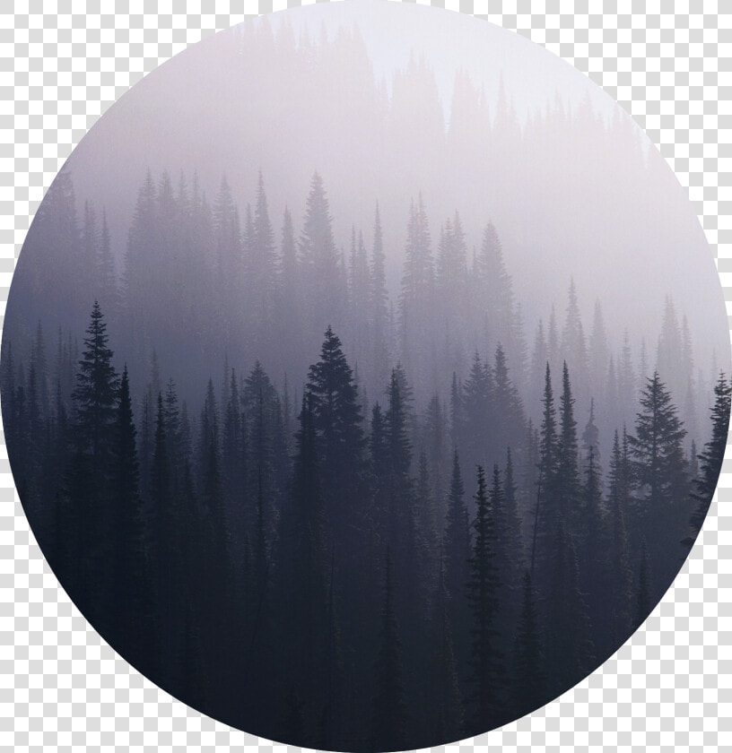 37980008 Dark Forest Wallpaper   Хелависа Ветер Кровь И Серебро  HD Png DownloadTransparent PNG