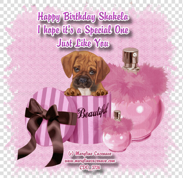 Free Download Puppy Clipart Puggle Puppy Dog Breed   Dog  HD Png DownloadTransparent PNG