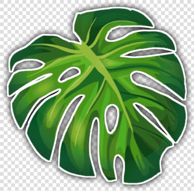  aesthetic  tropical  sticker  freetouse  leaf  green   Aesthetic Palm Leaves Png  Transparent PngTransparent PNG