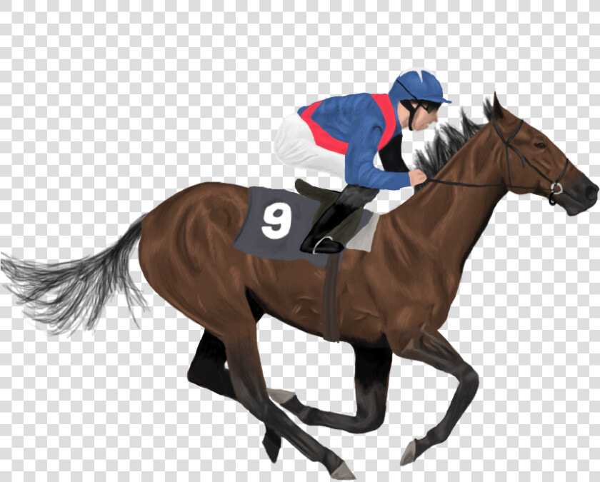 Icelandic Horse Jockey Horse Racing   Jockey Horse Png Clipart  Transparent PngTransparent PNG