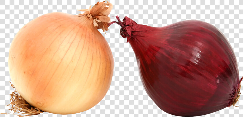 Transparent Onions Clipart   Yellow Onion  HD Png DownloadTransparent PNG