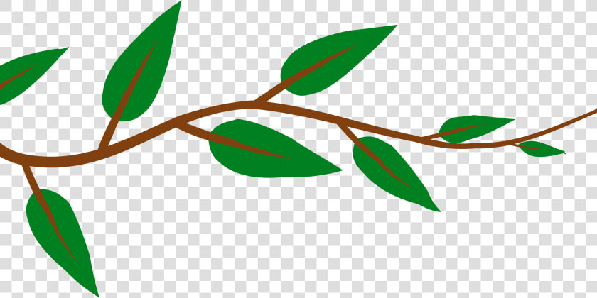 Plant flora leaf   Vines Png Clipart  Transparent PngTransparent PNG