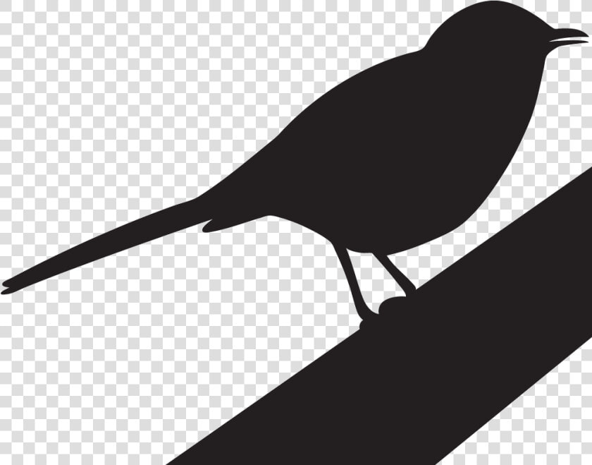 Thrushes   Kill A Mockingbird Clipart  HD Png DownloadTransparent PNG